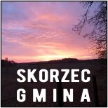 skorzecgmina.pl